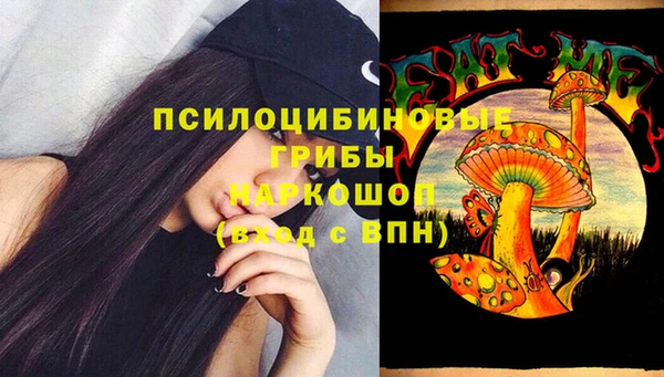 ПСИЛОЦИБИНОВЫЕ ГРИБЫ Белокуриха
