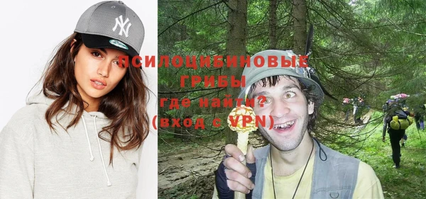 дживик Баксан