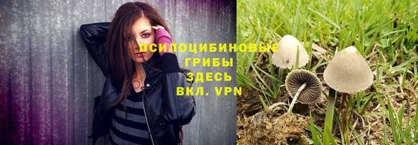 мдпв Беломорск