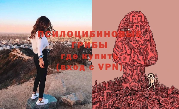 дживик Баксан