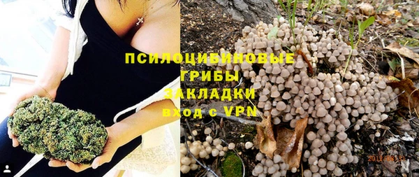 трава Балахна
