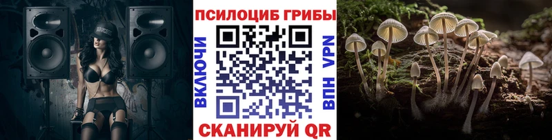 Псилоцибиновые грибы мухоморы Верея